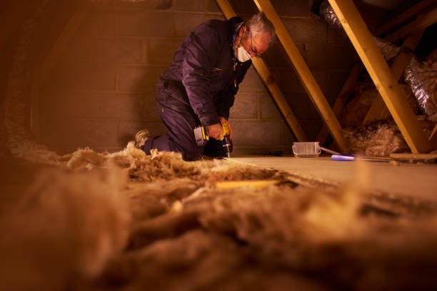 Trusted Bellevue, IA Insulation Contractor Experts